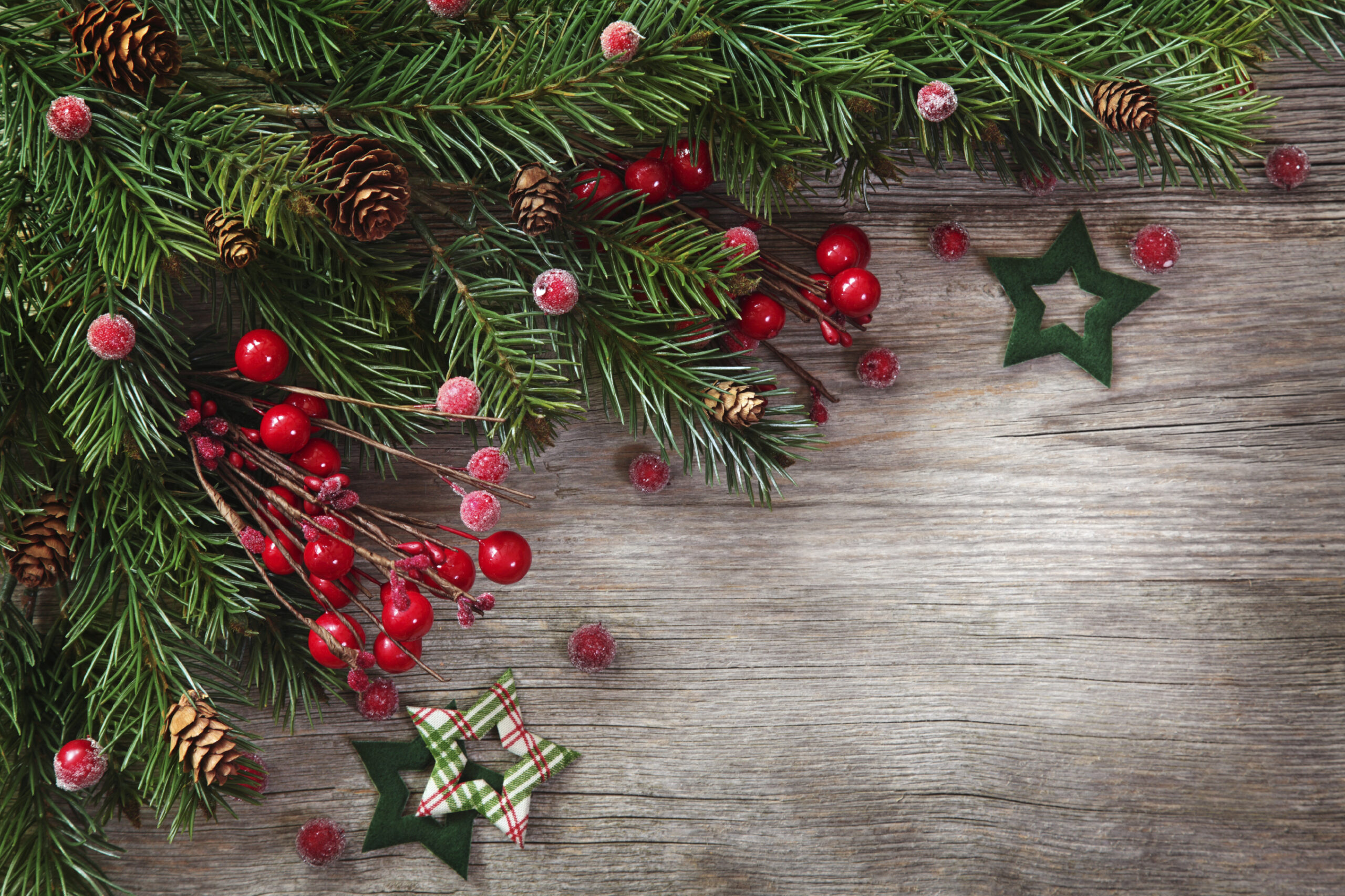 Great Christmas gift ideas for web designers