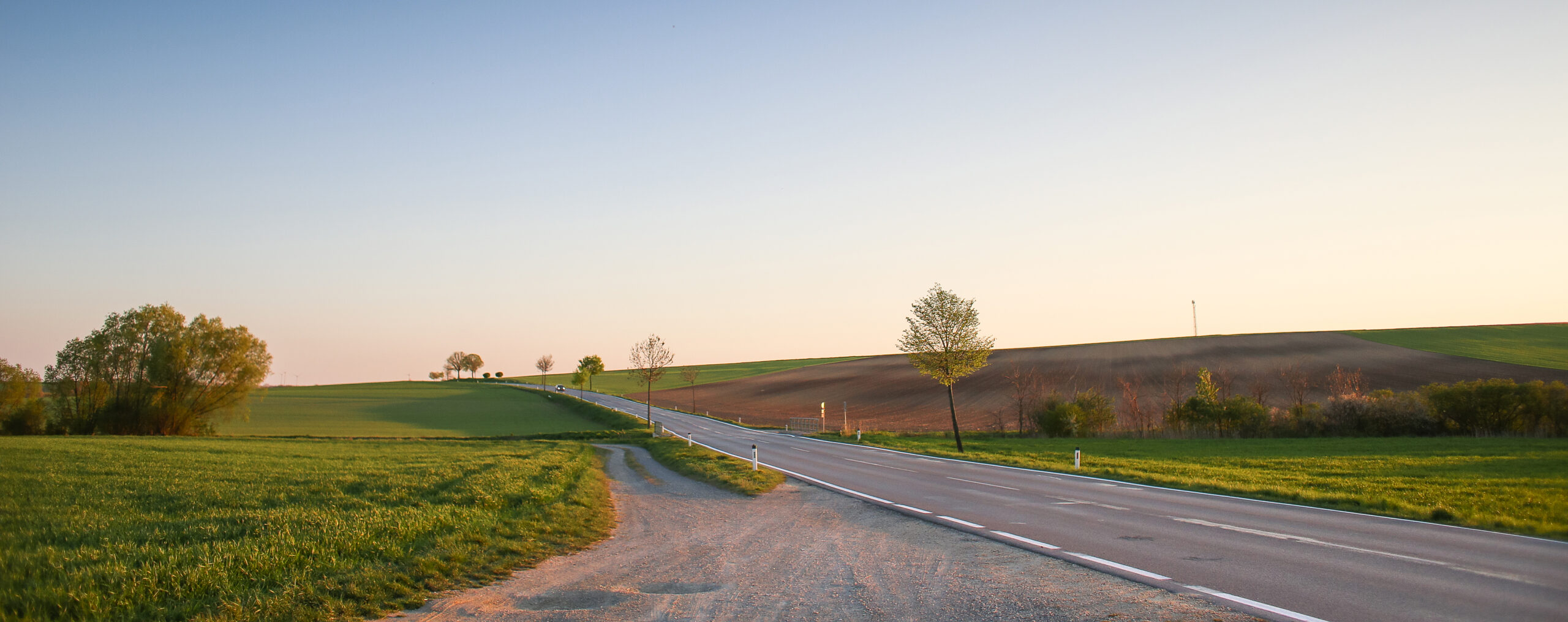 Essential web design for transport and logistics companies