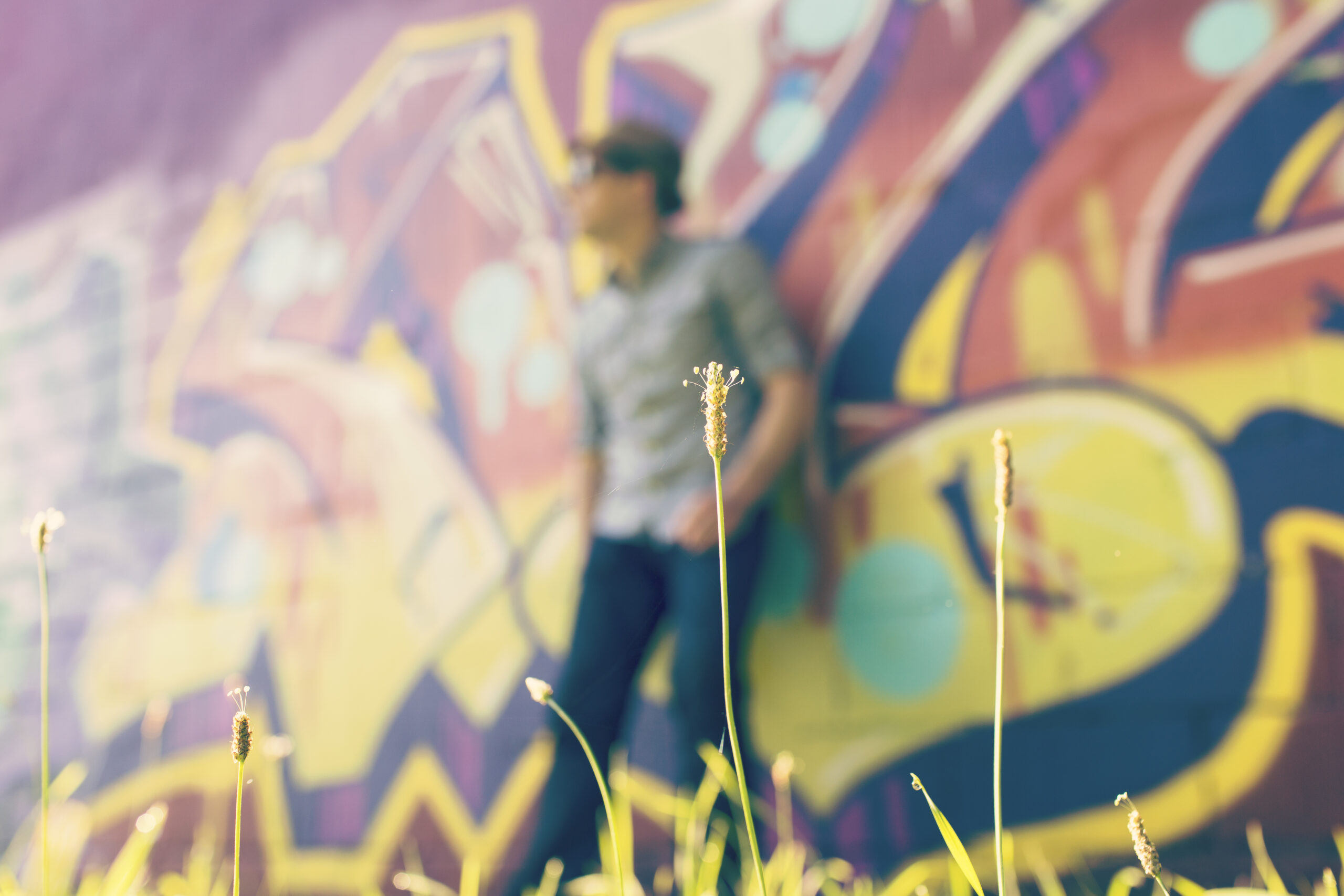 Looking beyond the impressive WordPress statistics
